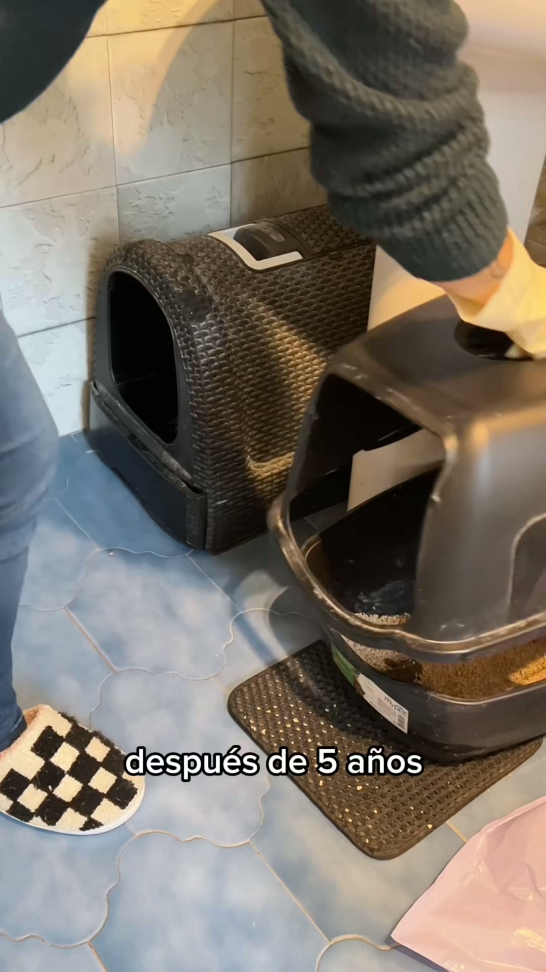 El arenero que se limpia solo