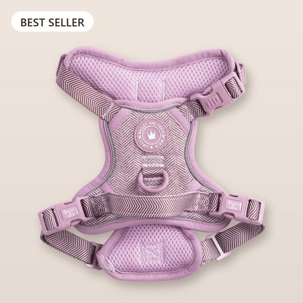Plum Tweed No-Pull Harness