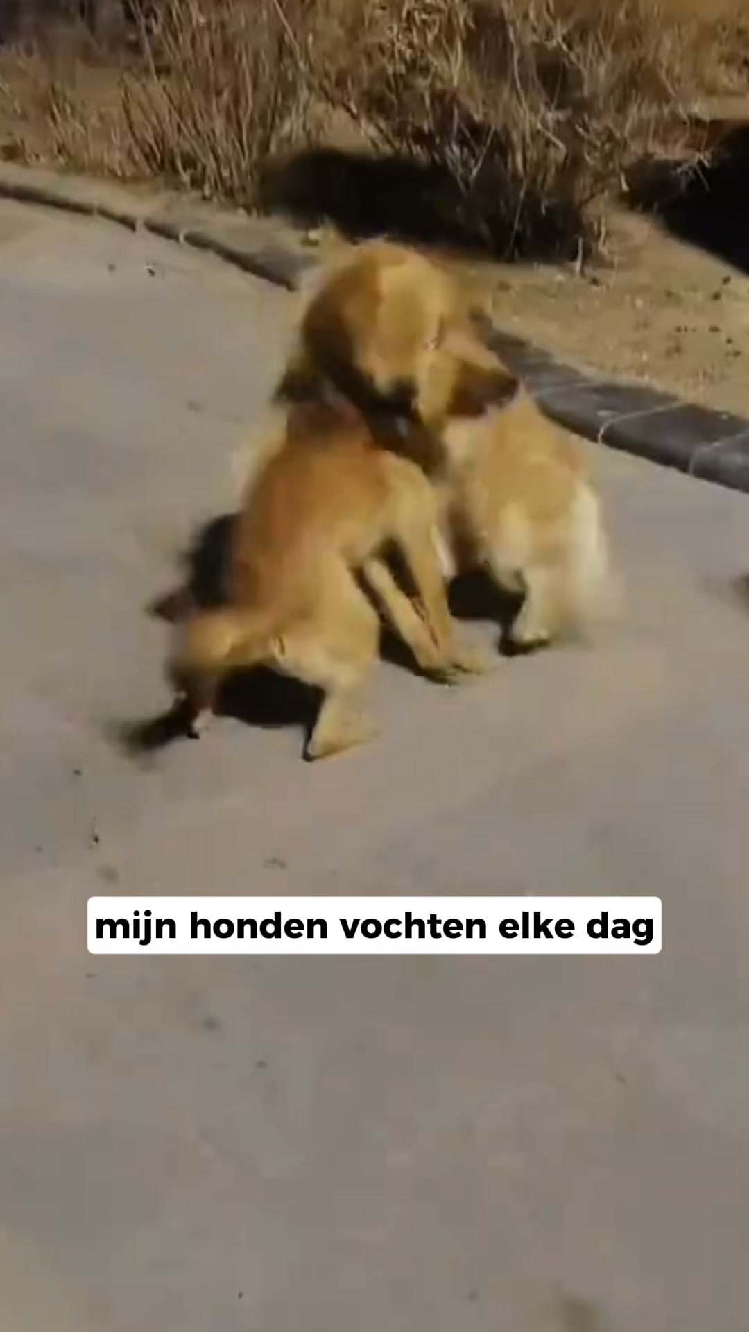 Bespaar nu 50% op Furrzie