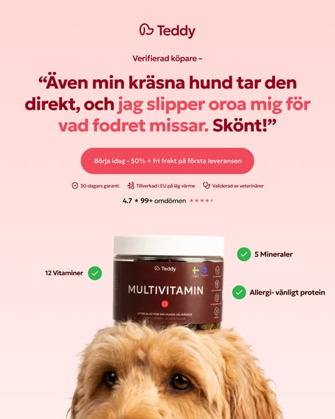 Höstkampanj 50% och fri frakt!