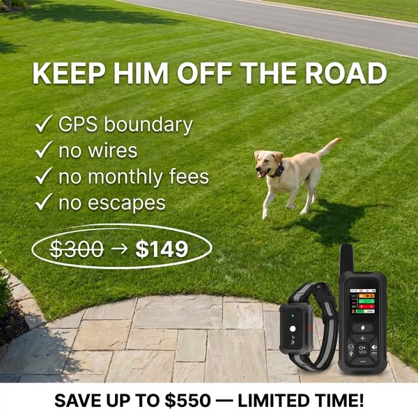 How Dog Trainers Handle Escape Artists