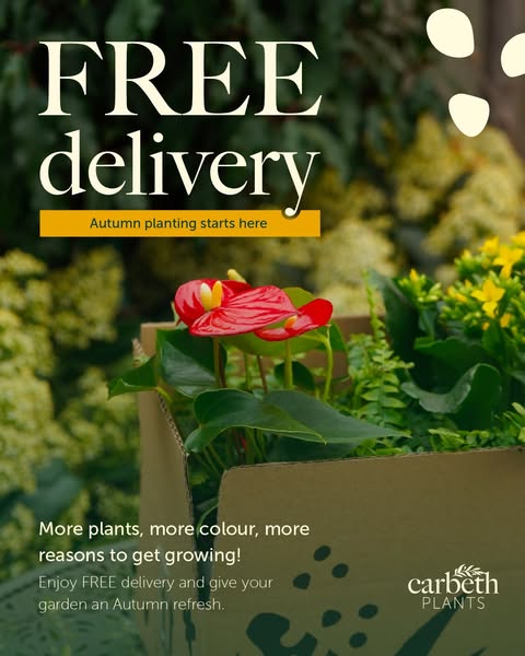 Don’t Miss Out on Free Delivery