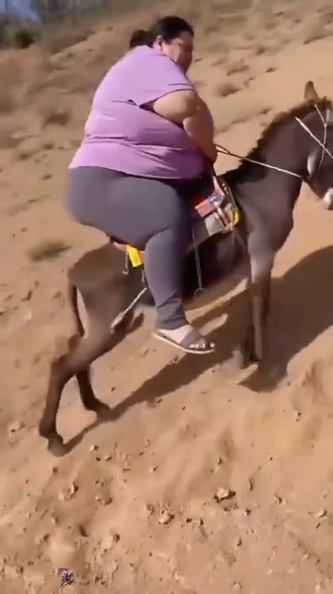 Spedizione veloce