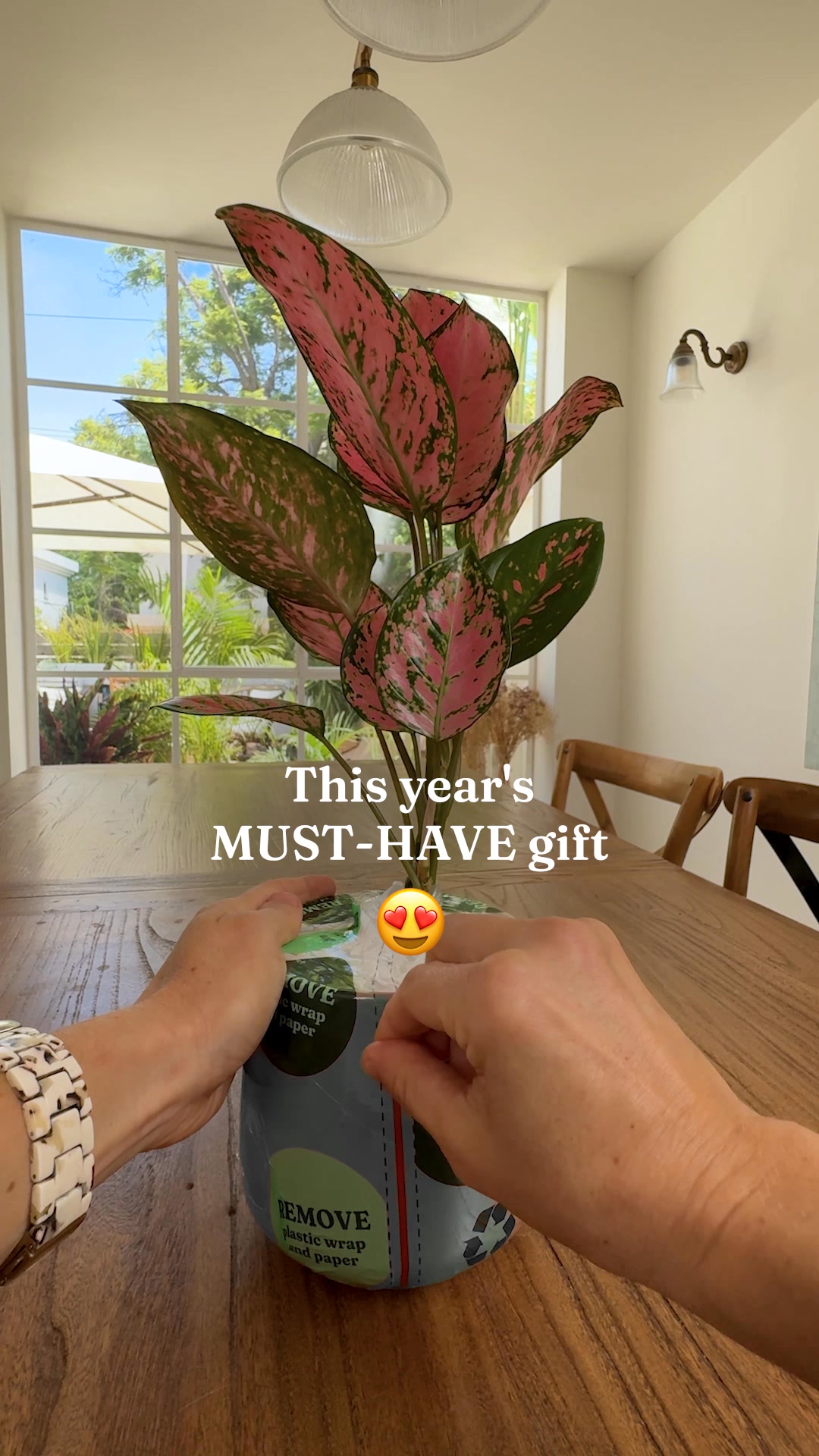 Thriving plants made EASY!