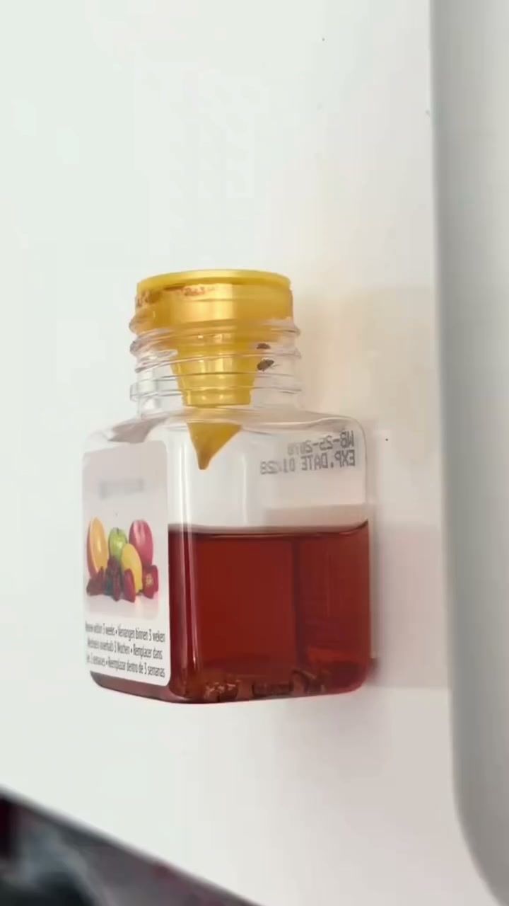Ultra-Strong Fruit Fly Trap - User Friendly