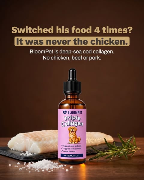 Switched his food 4 times?