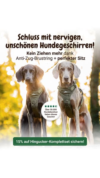 In 2-4 Tagen bei dir