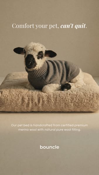 Wool comfort, redefined