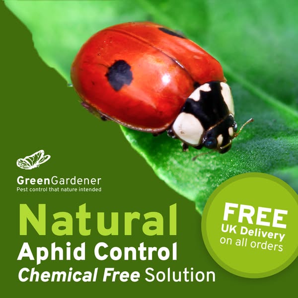 Natural Aphid Solution