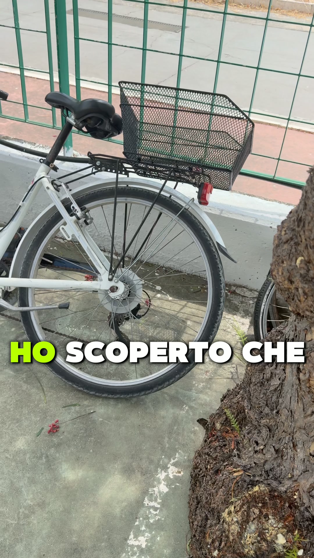 Non perdere la PROMO LANCIO fino al 5 Agosto!