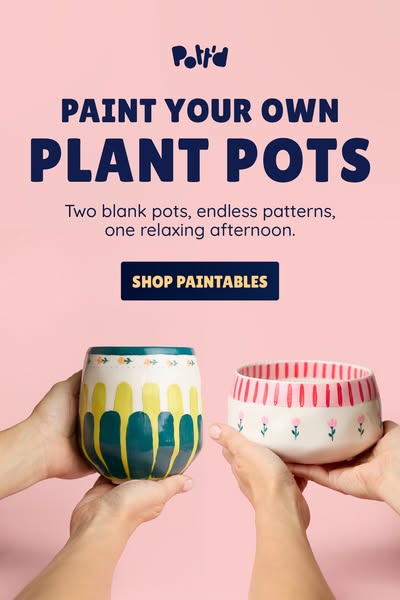 Shop the new Paint-a-Plant Pot Kit now.