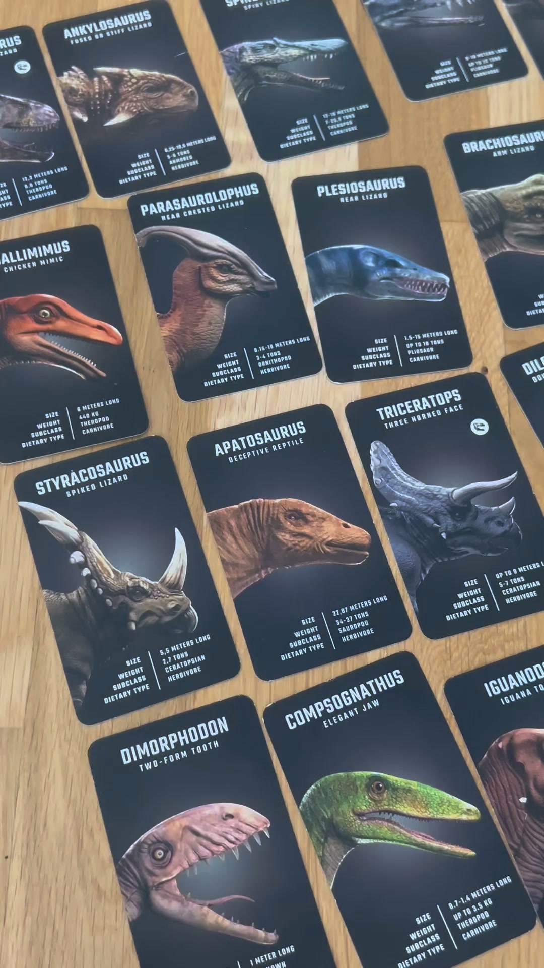 Dinosaur 4D+ Cards