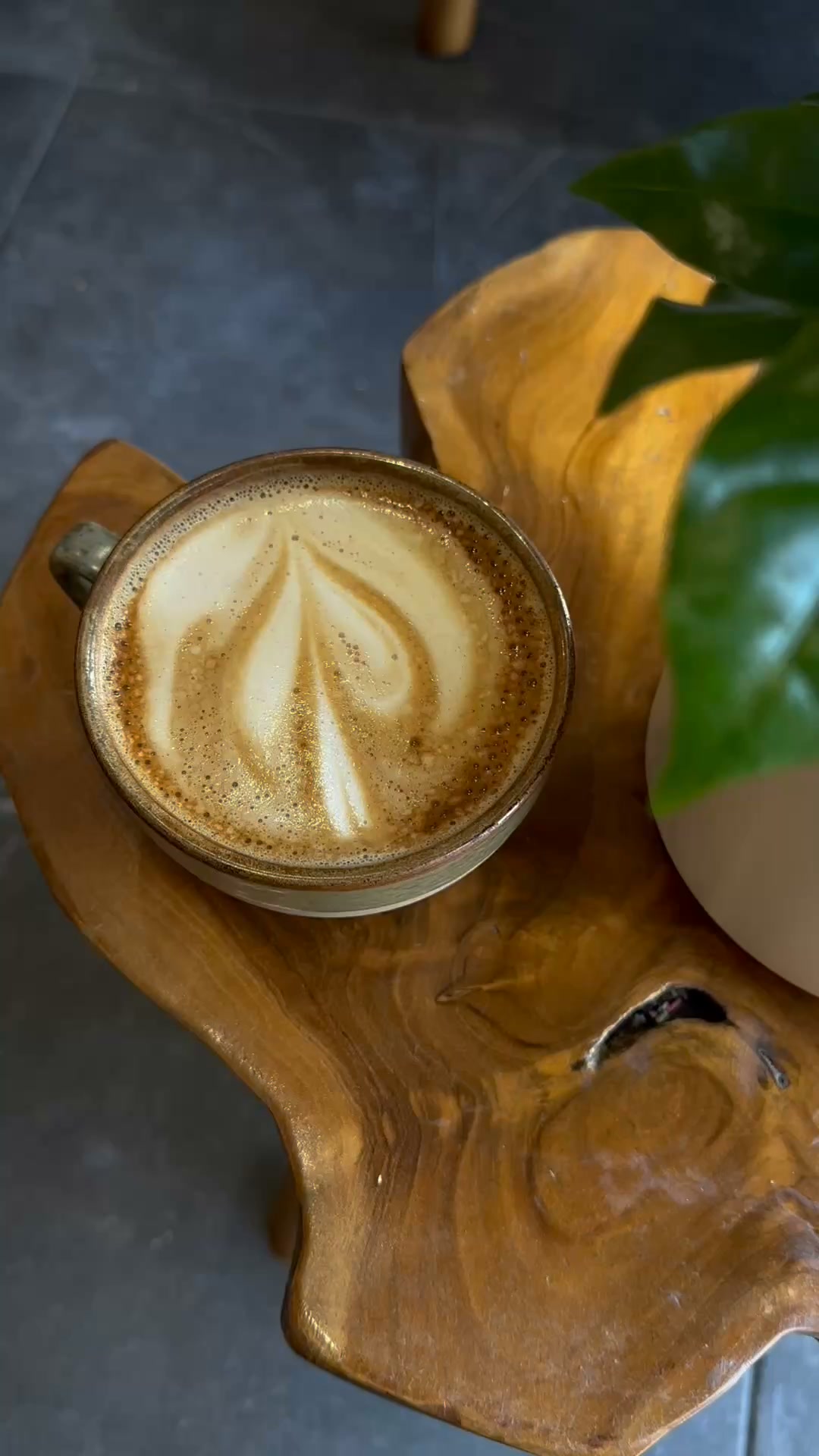 Anúncio de GrowTropicals
