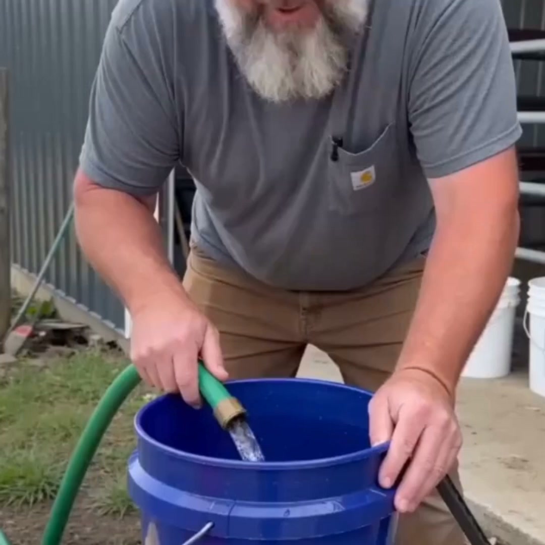 The Humane Way to End Your Rodent Problem