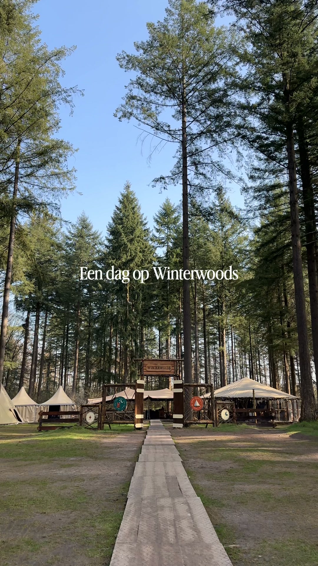 Anúncio de Winterwoods