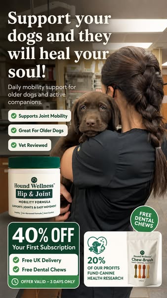 Support Their Joints. Protect Their Best Years.