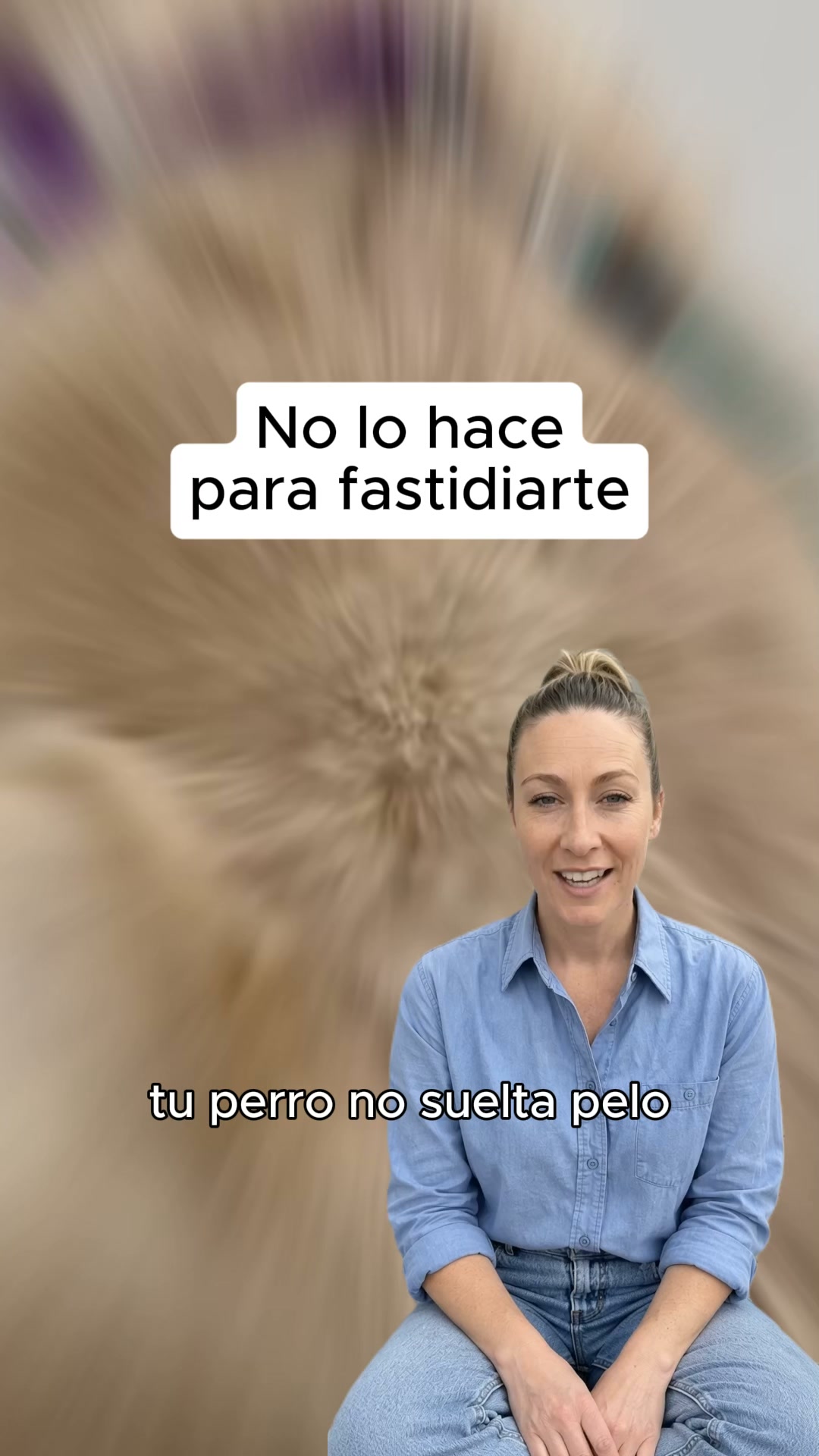 Gánale la batalla al pelo de tu mascota.