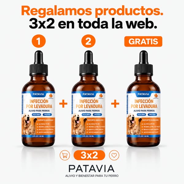 Compra 2 y llevate 1 Gratis