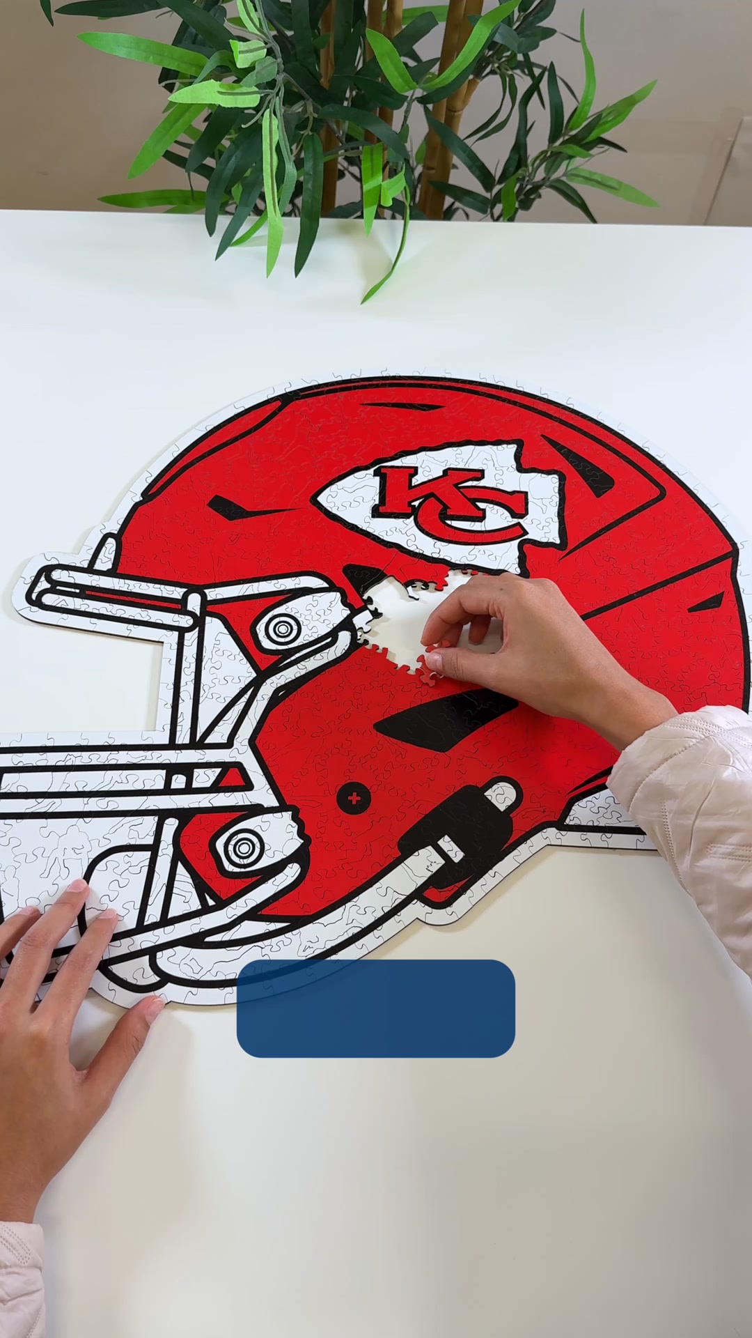 Die Ultimative NFL Challenge