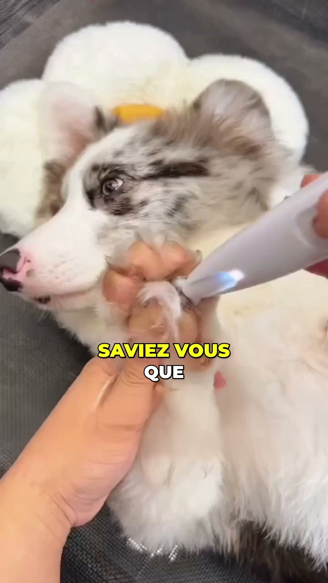 50% AUJOURD'HUI • Livraison offerte