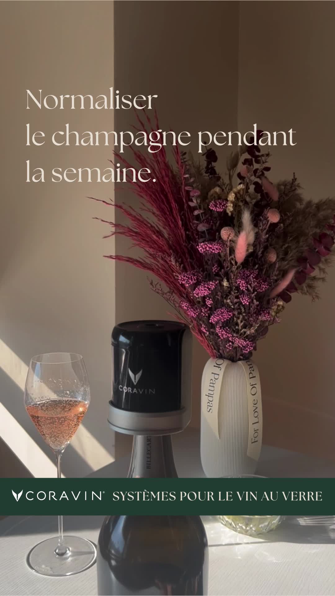 Gardez la fraîcheur de votre vin