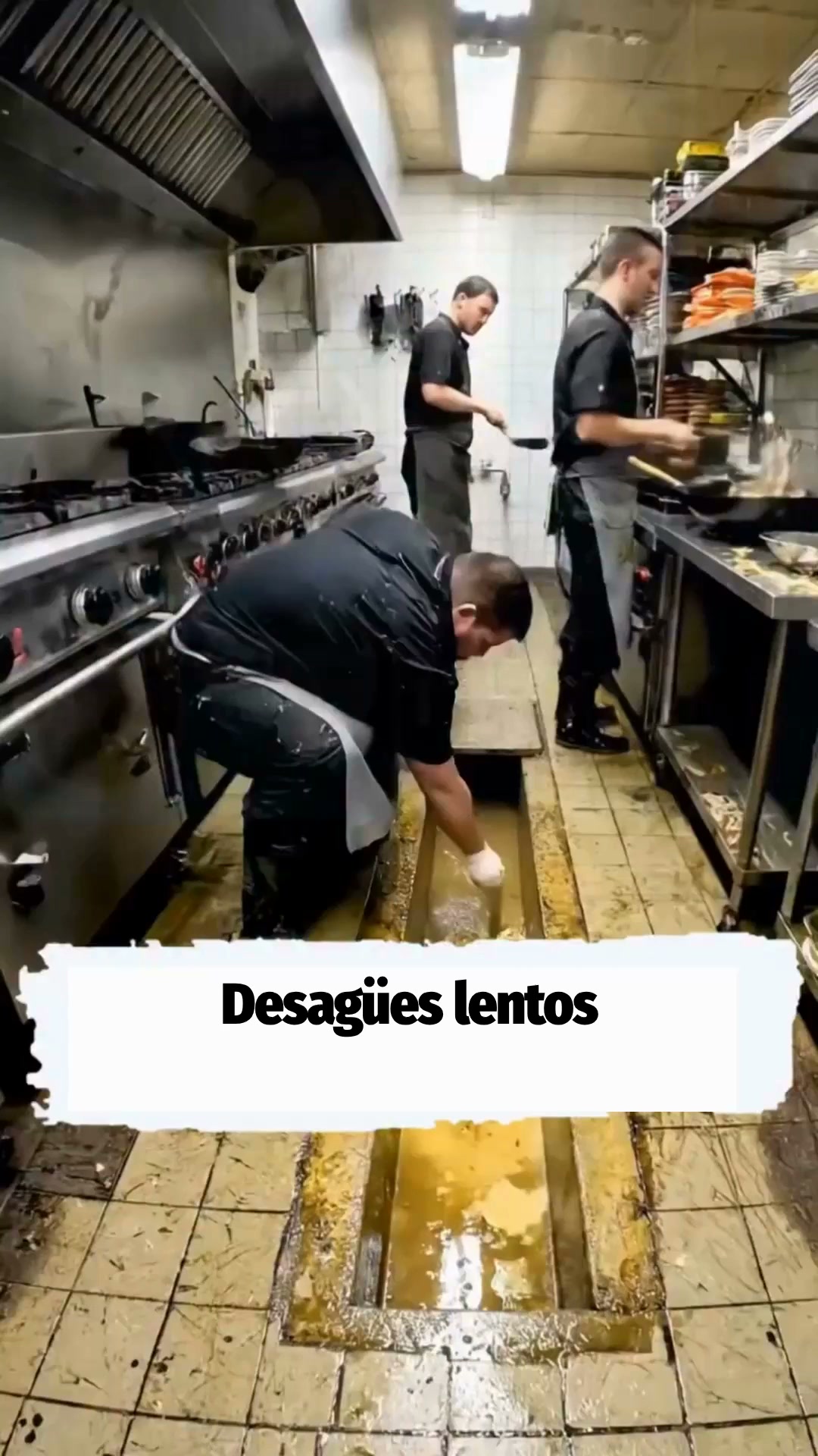 Envío Gratis: 24h y Pago Contrarrembolso