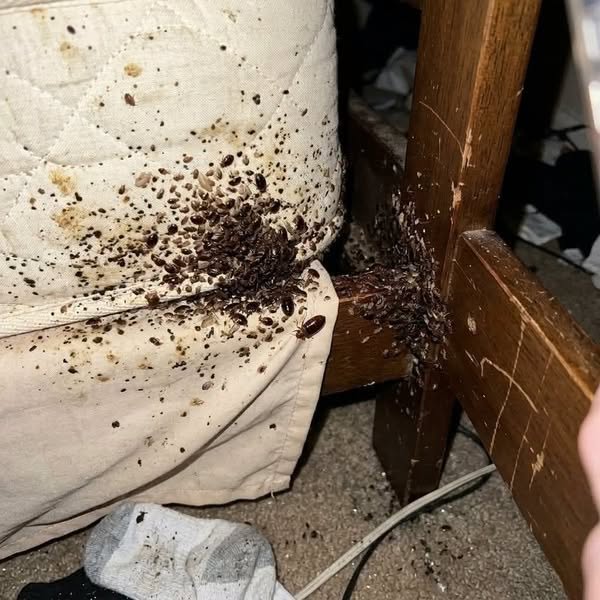 Kolejny wydatek, który miał wszystko załatwić