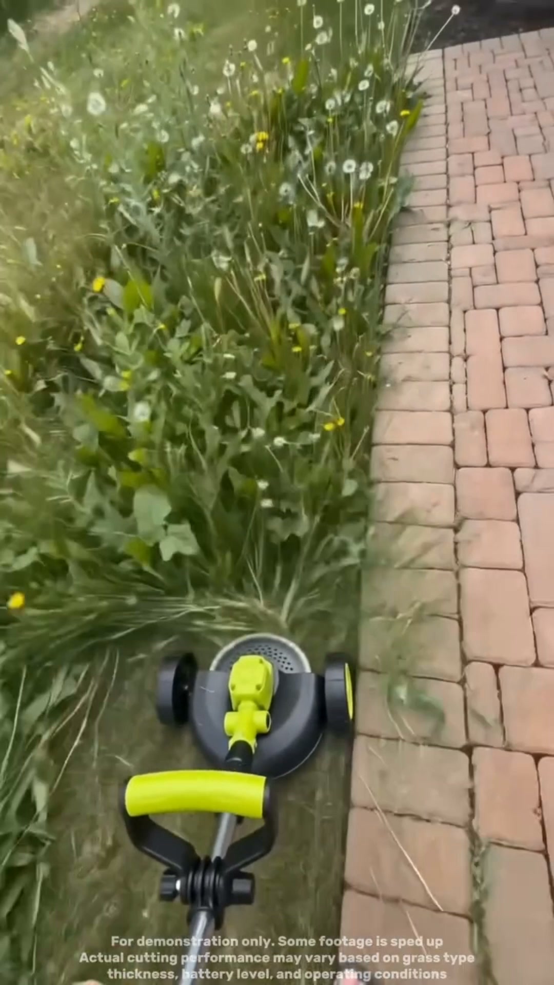 21V Cordless 3-in-1 Grass Trimmer
