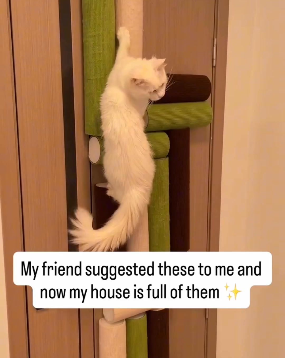 Turn Any Wall Into a Cat Playground