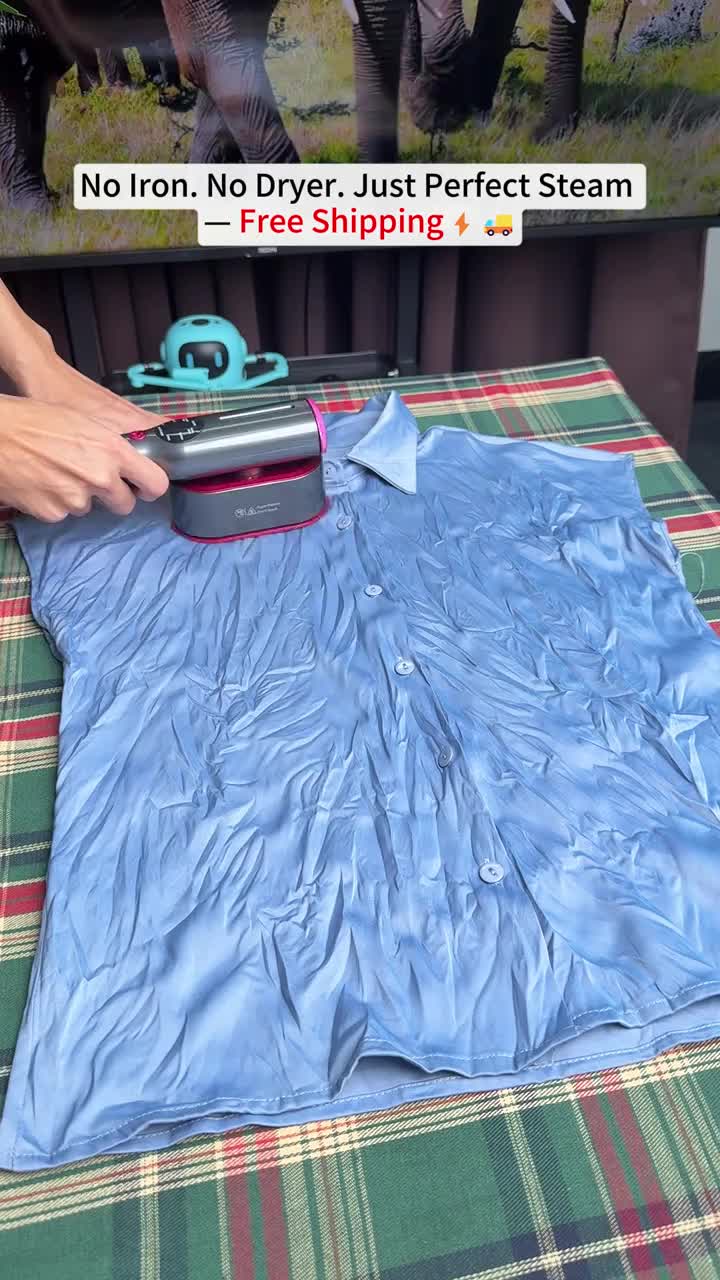 Hand Steamer for Clothes