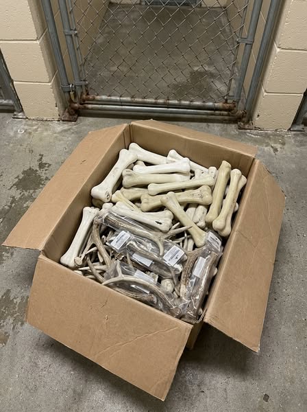 Vet Tech Exposes the "Safe" Chew