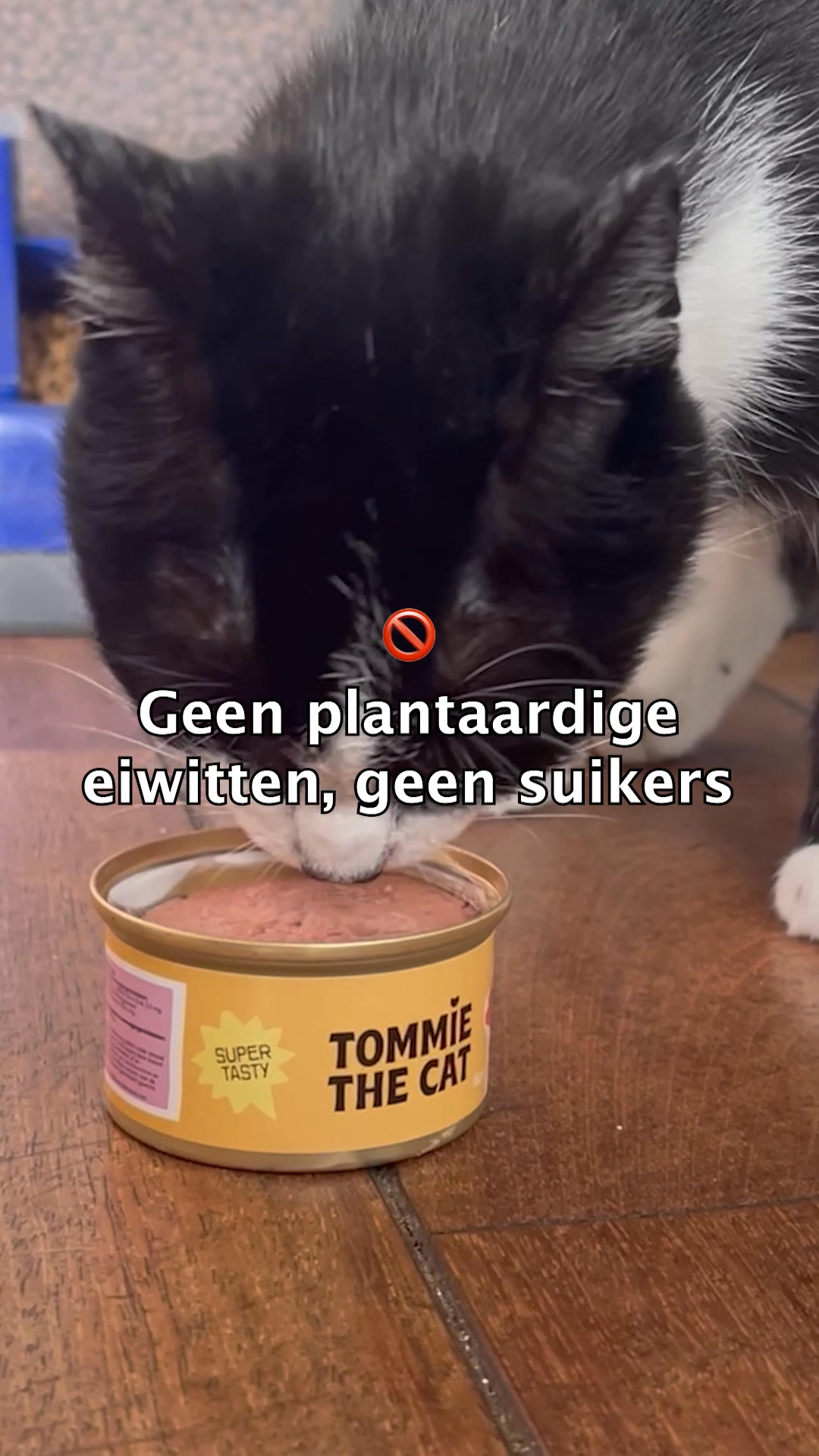 Vers & graanvrij kattenvoer