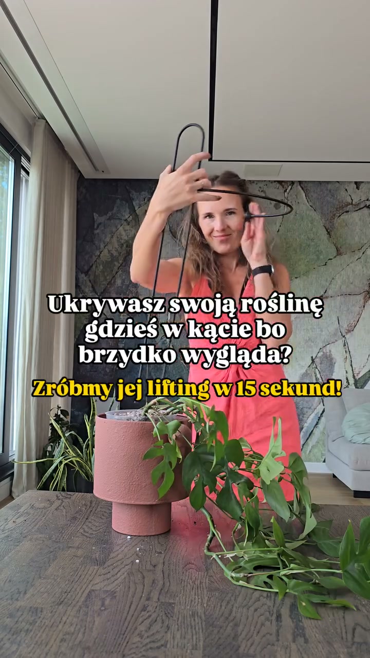 Nowość od Leaflo!