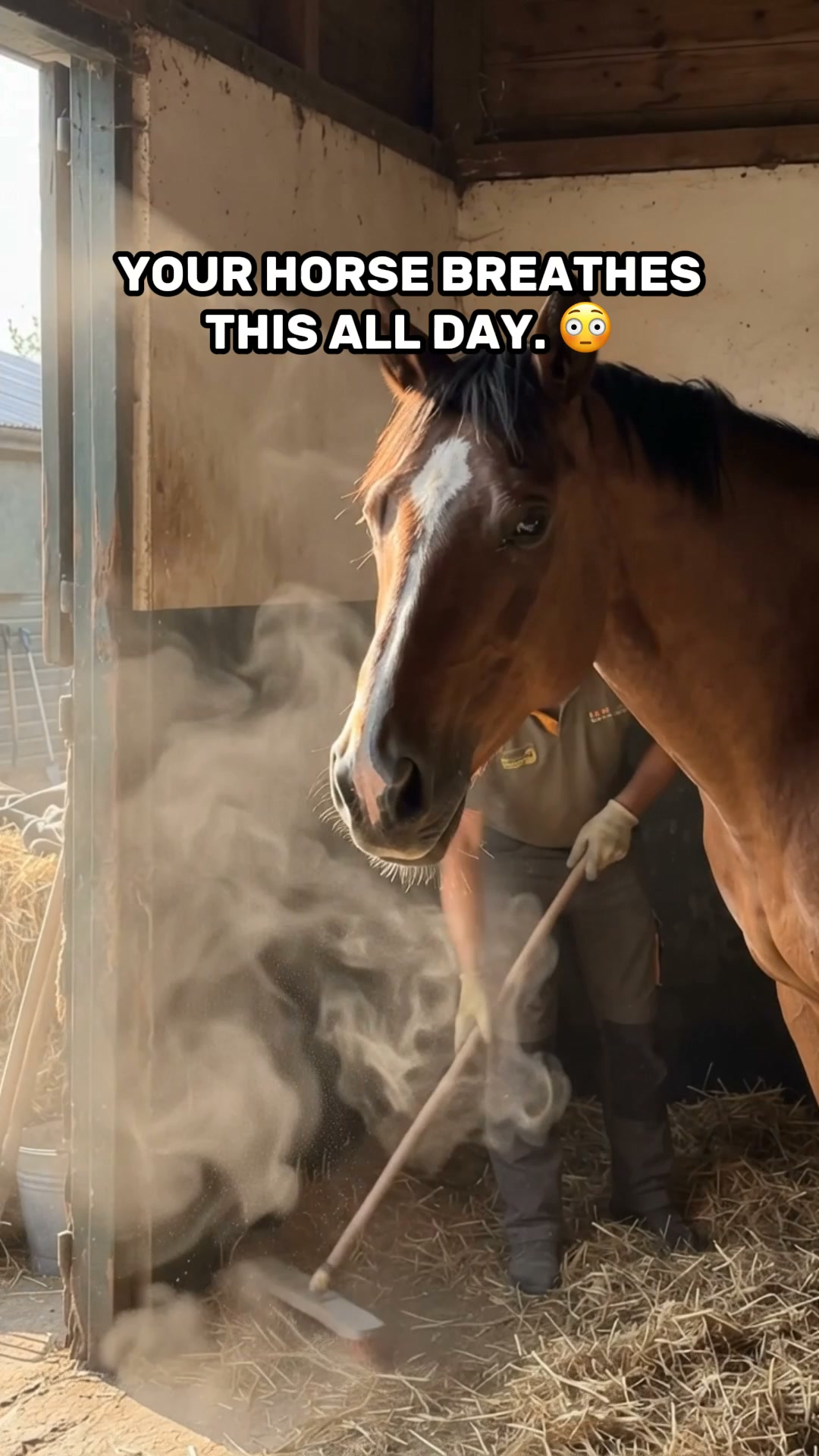 Chevaroo Equine Nebulizer