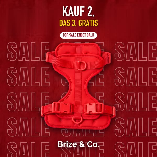 Kauf 2, das 3. gratis
