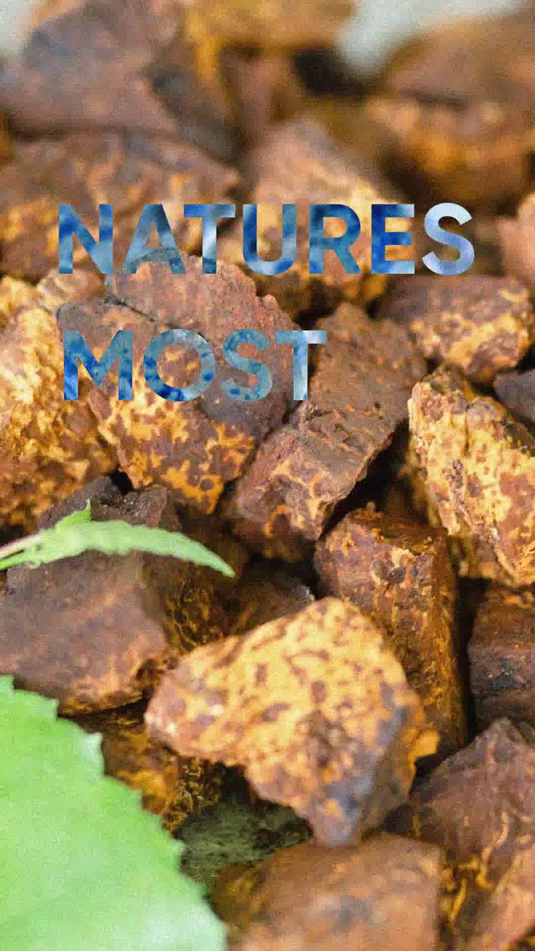 Discover Nature's Most Powerful Supplement