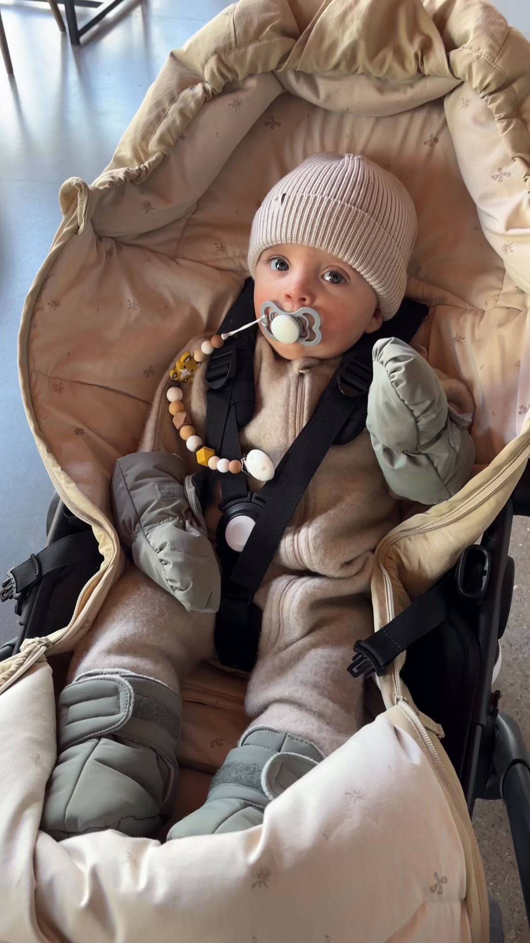 Bestill Voksi Explorer med fri frakt!