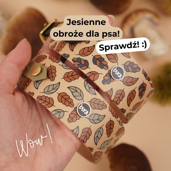 Jesienny set dla Twojego psa