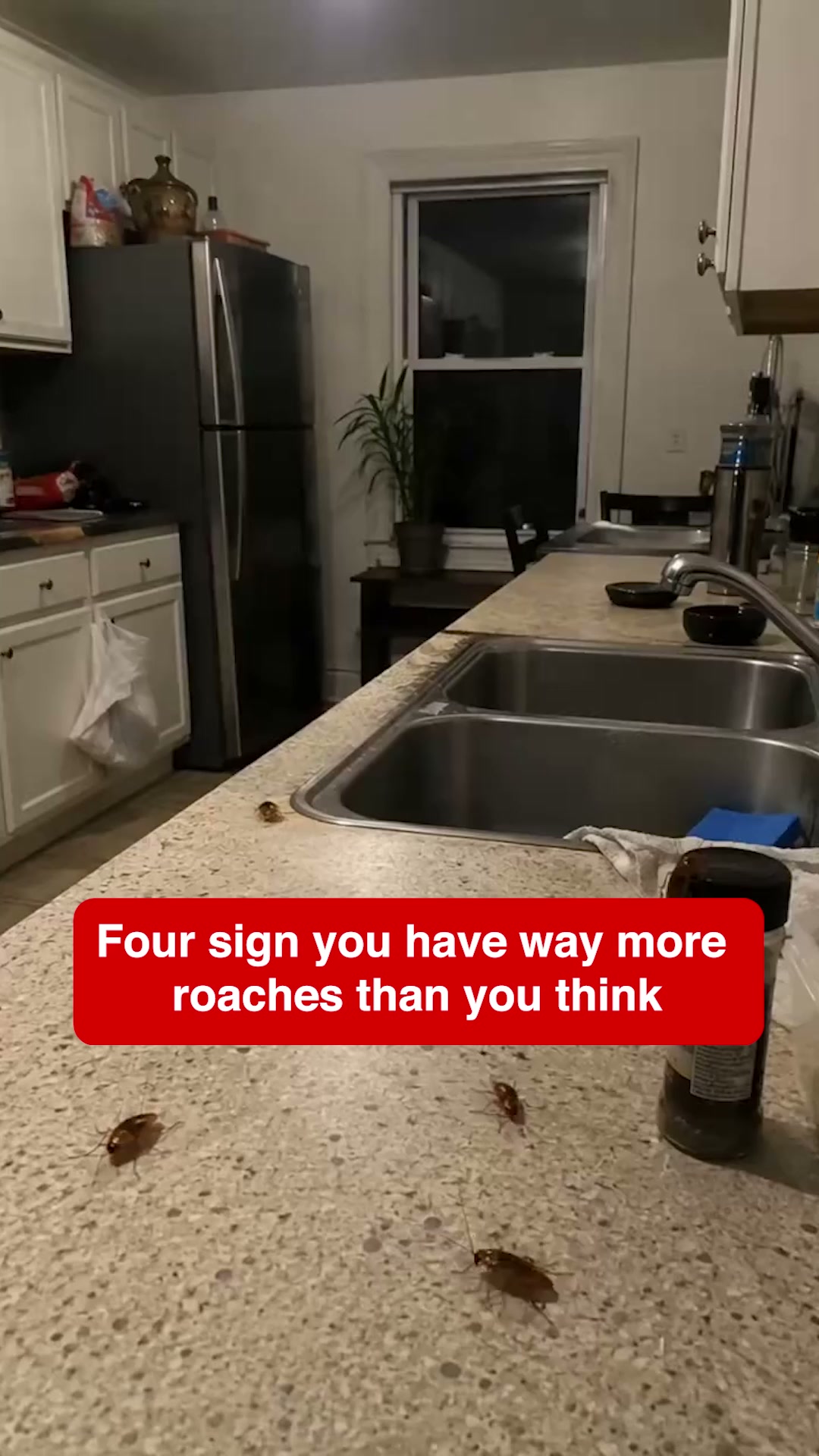 Banish Roaches For Good