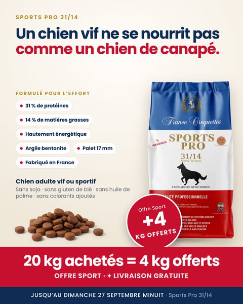 Formulé pour les chiens actifs
