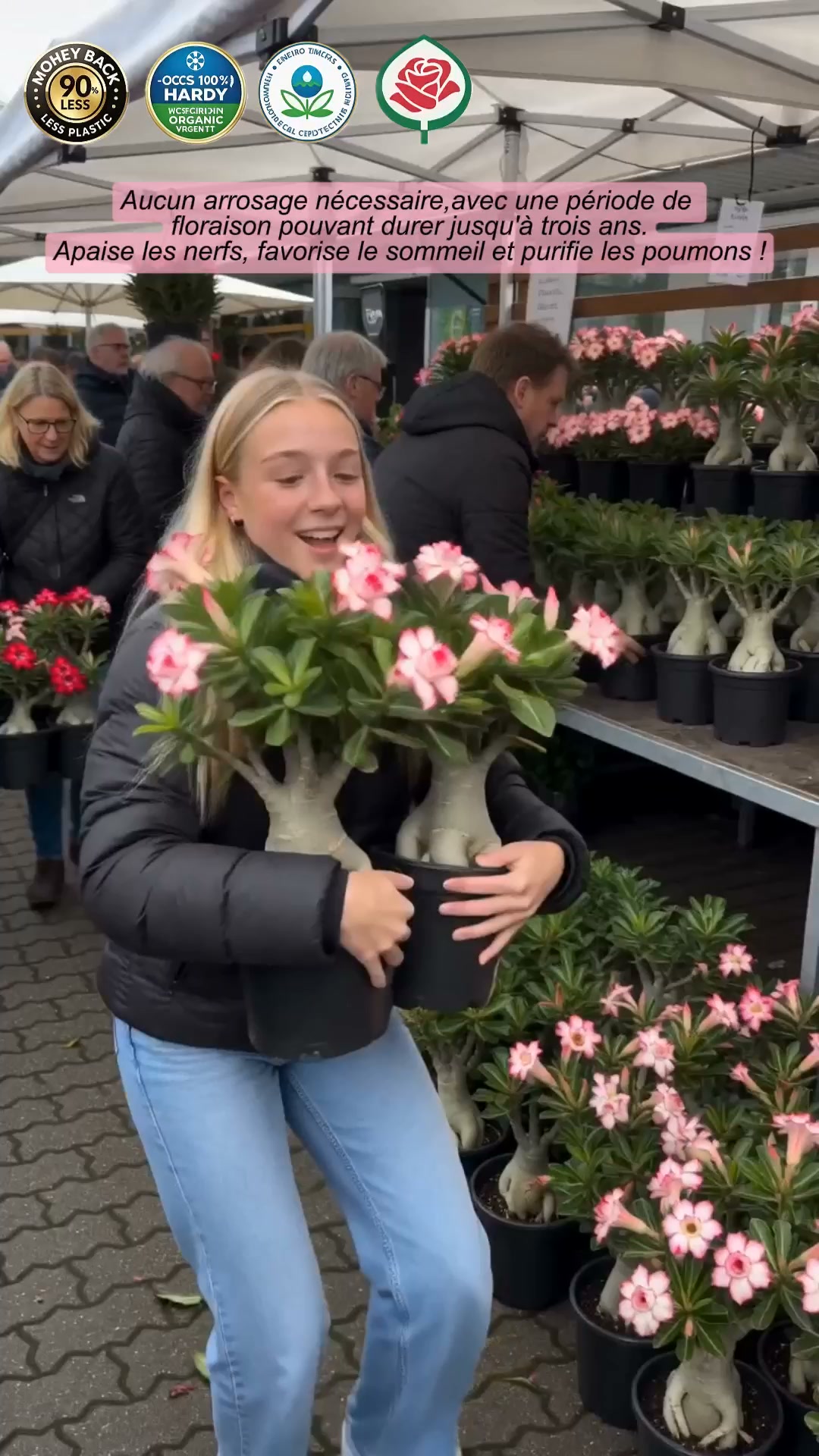 La plante qui ne meurt jamais – arrosez‑la et elle vit 100 ans !