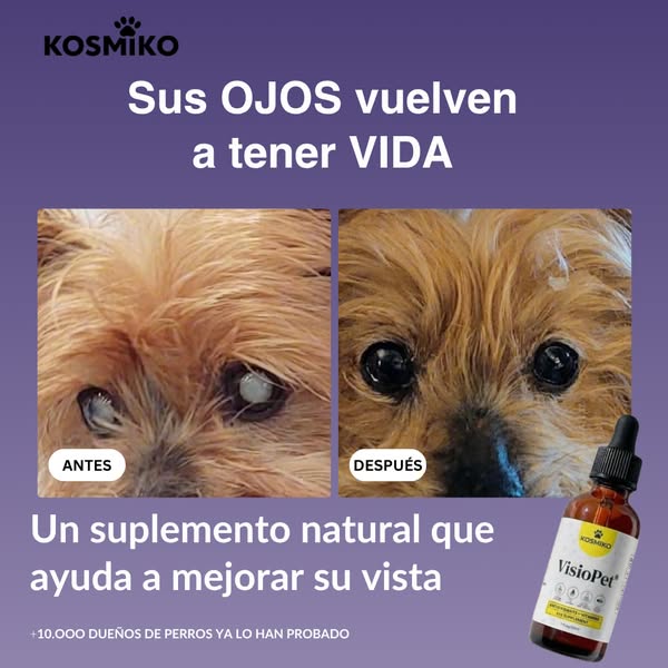 Cuida su vista