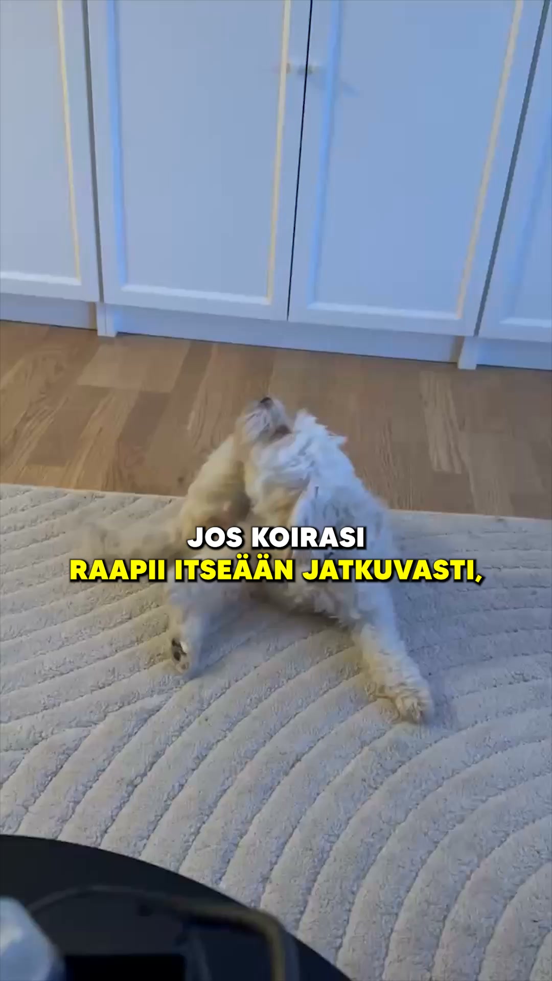 Jos tunnistat jonkin näistä merkeistä, kokeile näitä tehokkaita purupaloja