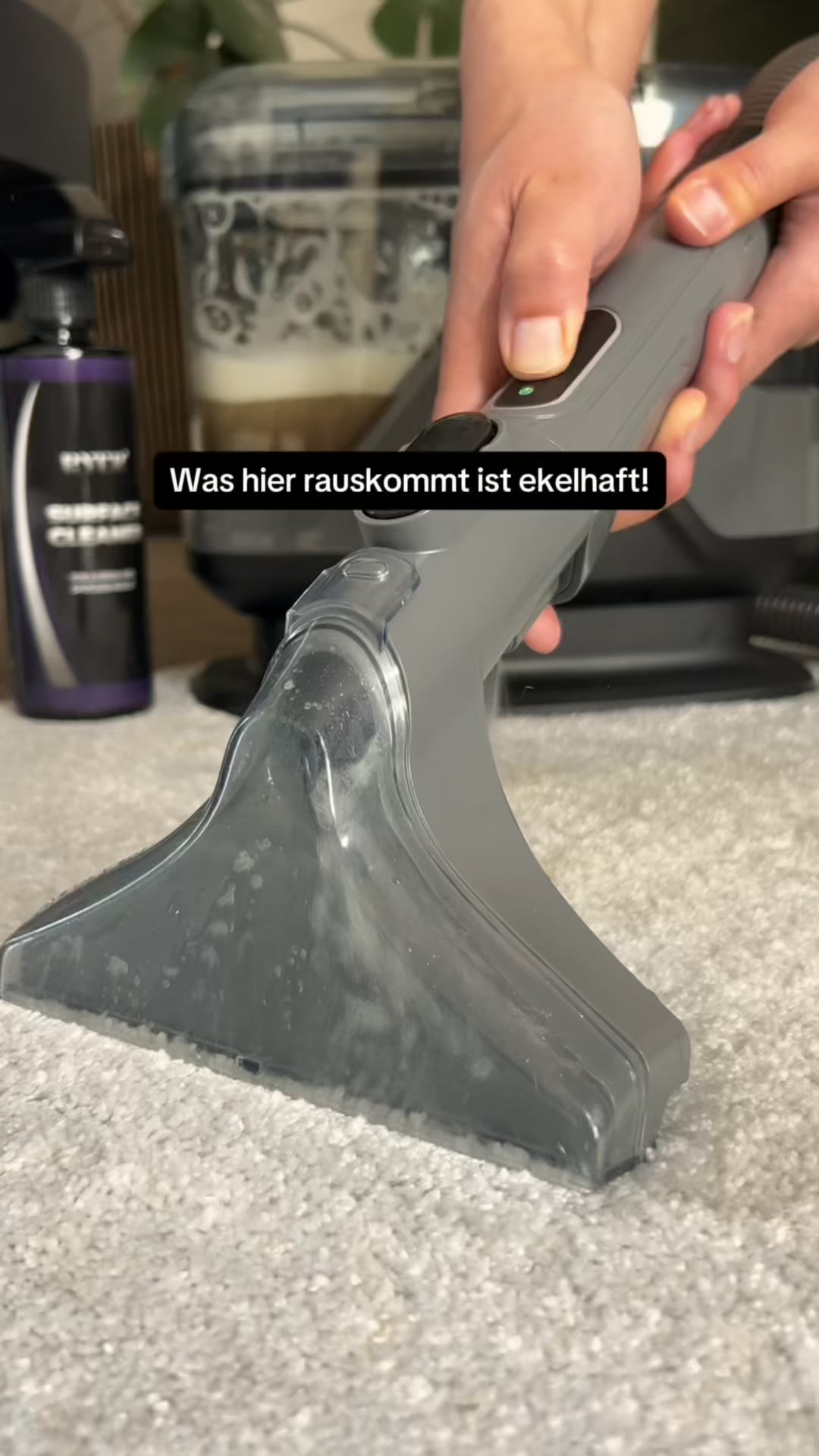 Ich halte meine Wohnung gestört sauber. DACHTE ich, bis ich das gesehen habe.