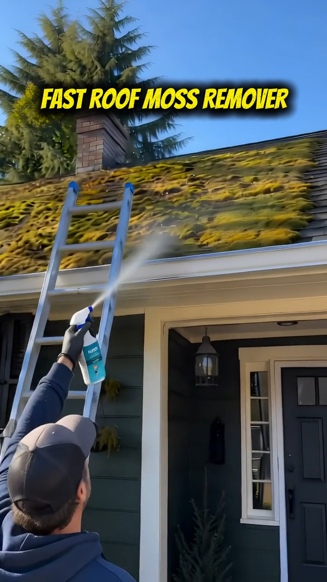 Struggling With Roof Moss? No Ladder Moss Remover Spray Refresh Your Roof Safely