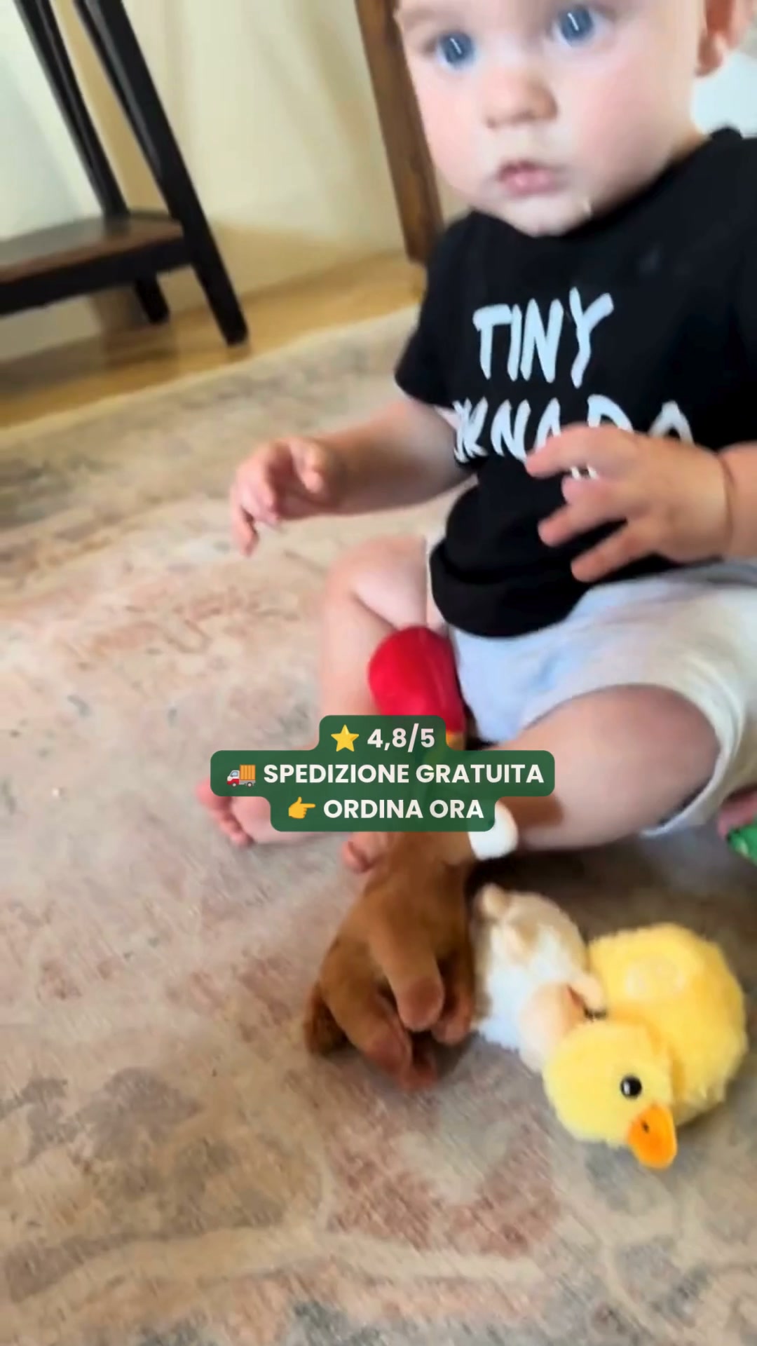 SPEDIZIONE GRATUITA