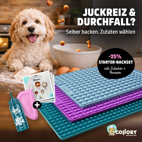 Starter-Back-Set für Hundeleckerlis