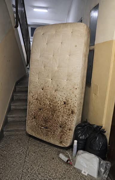 Nie miałam pluskwy. Miałam kolonię.