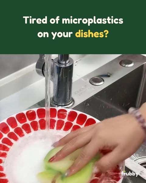 Plastic-free dishes, every day