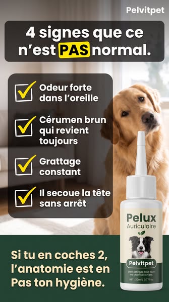 Tu reconnais 2 signes ou plus ?